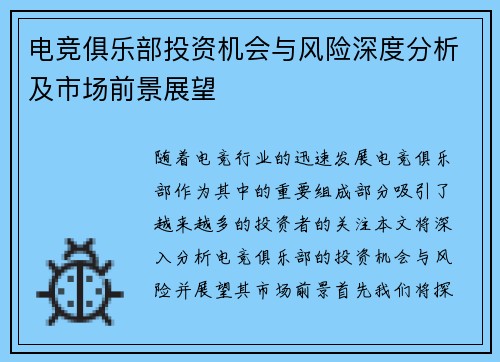 电竞俱乐部投资机会与风险深度分析及市场前景展望