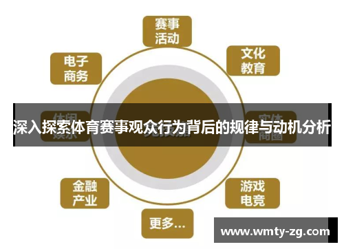 深入探索体育赛事观众行为背后的规律与动机分析