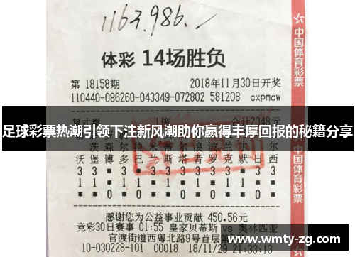 足球彩票热潮引领下注新风潮助你赢得丰厚回报的秘籍分享