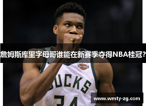 詹姆斯库里字母哥谁能在新赛季夺得NBA桂冠？