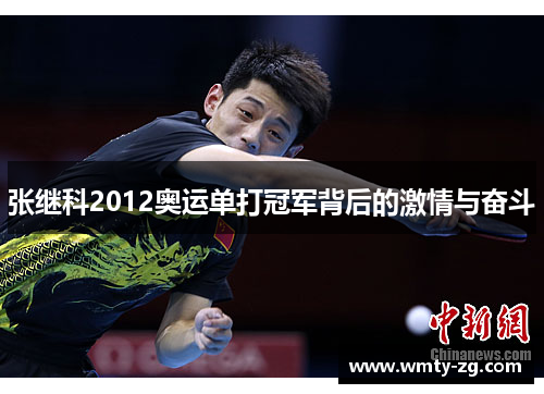 张继科2012奥运单打冠军背后的激情与奋斗